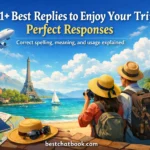 Best Replies to Enjoy Your Trip: Perfect Responses