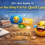 Best Replies To How Are You Liking It So Far: Quick Laughs