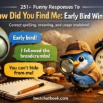 Funny Responses To How Did You Find Me: Early Bird Wins