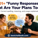 Funny Responses to What Are Your Plans Today